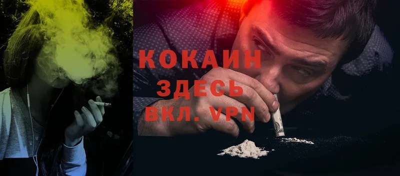 где найти наркотики  Вихоревка  MEGA как войти  Cocaine VHQ 