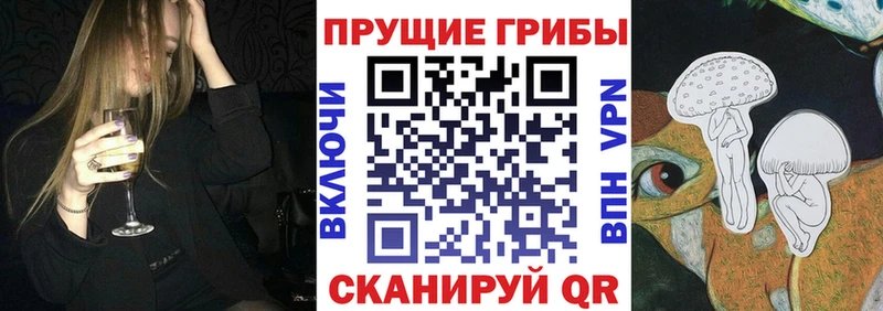 hydra онион Вихоревка Псилоцибиновые грибы мицелий